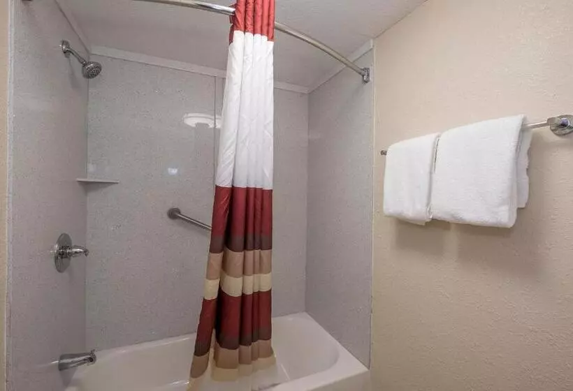 キングサイズベッドのスーペリアルーム, Red Roof Inn Plus+ & Suites Knoxville West Cedar Bluff