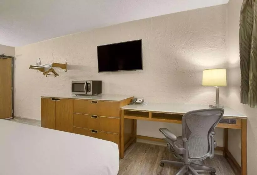 اتاق استاندارد با تخت بزرگ, Rodeway Inn