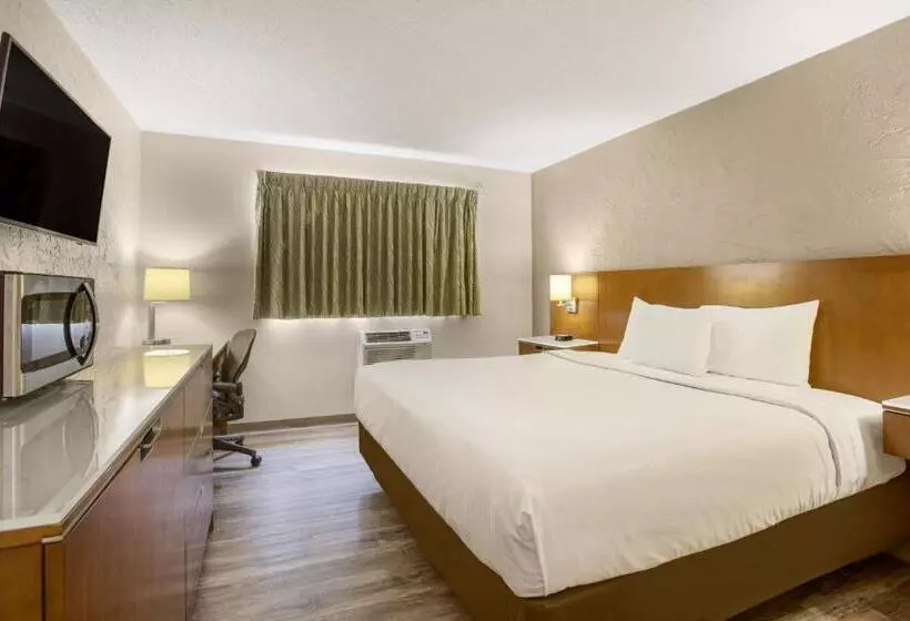 اتاق استاندارد با تخت بزرگ, Rodeway Inn