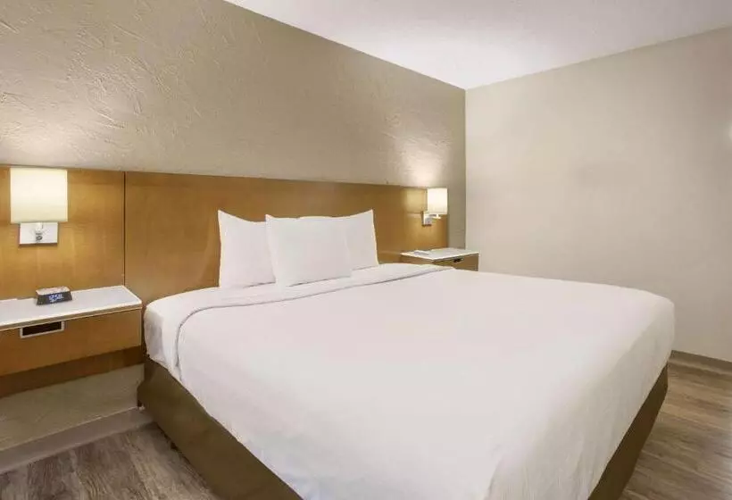 اتاق استاندارد با تخت بزرگ, Rodeway Inn