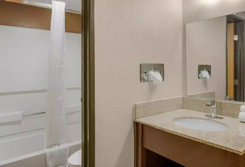 اتاق استاندارد با تخت بزرگ, Rodeway Inn