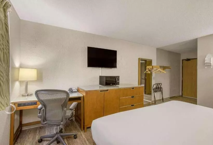 اتاق استاندارد با تخت بزرگ برای معلولان, Rodeway Inn