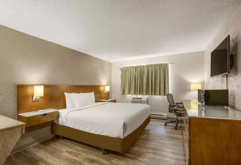 اتاق استاندارد با تخت بزرگ برای معلولان, Rodeway Inn