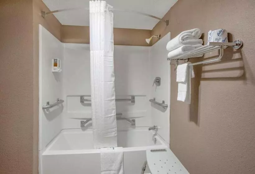 اتاق استاندارد با تخت بزرگ برای معلولان, Rodeway Inn