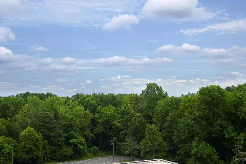 キングサイズベッドのデラックスルーム, Sheraton Charlotte Airport