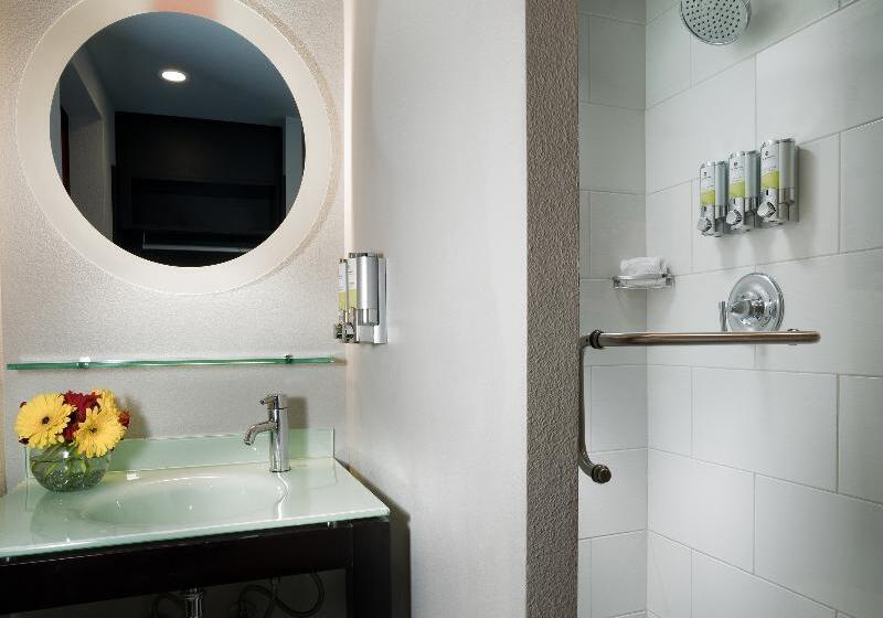 Standard Room King Size Bed