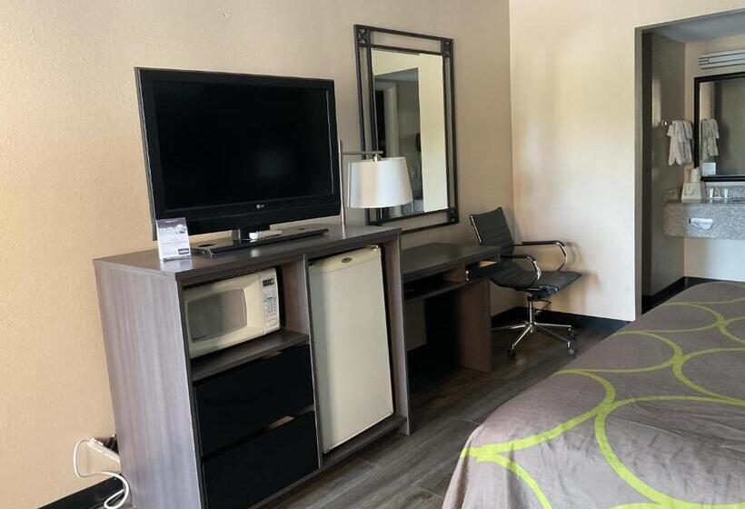 身障者適用キングサイズベッドルーム, Super 8 By Wyndham Chattanooga/east Ridge