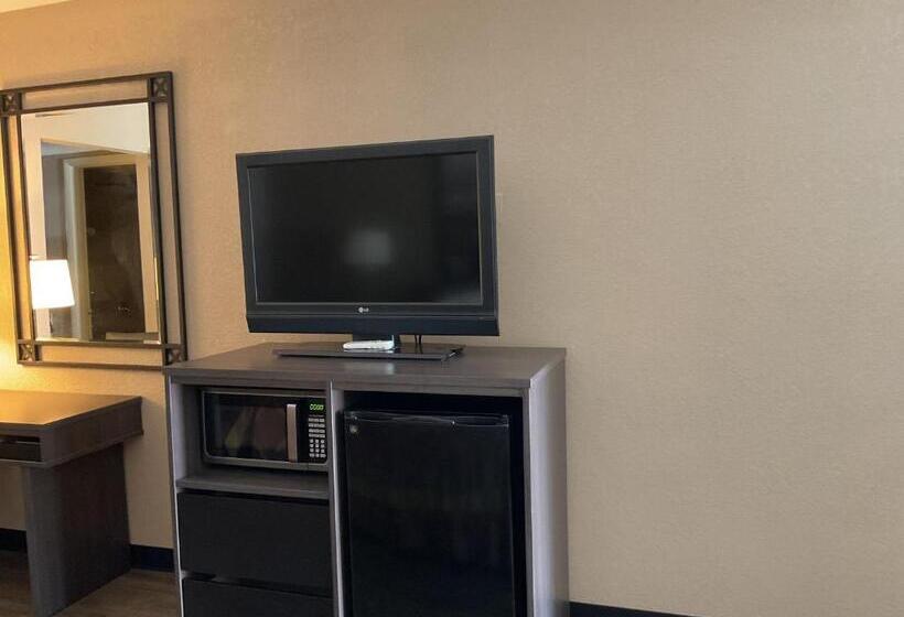 身障者適用キングサイズベッドルーム, Super 8 By Wyndham Chattanooga/east Ridge