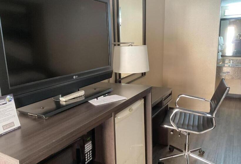 身障者適用キングサイズベッドルーム, Super 8 By Wyndham Chattanooga/east Ridge