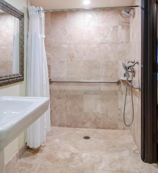 身障者適用キングサイズベッドルーム, The Lucie