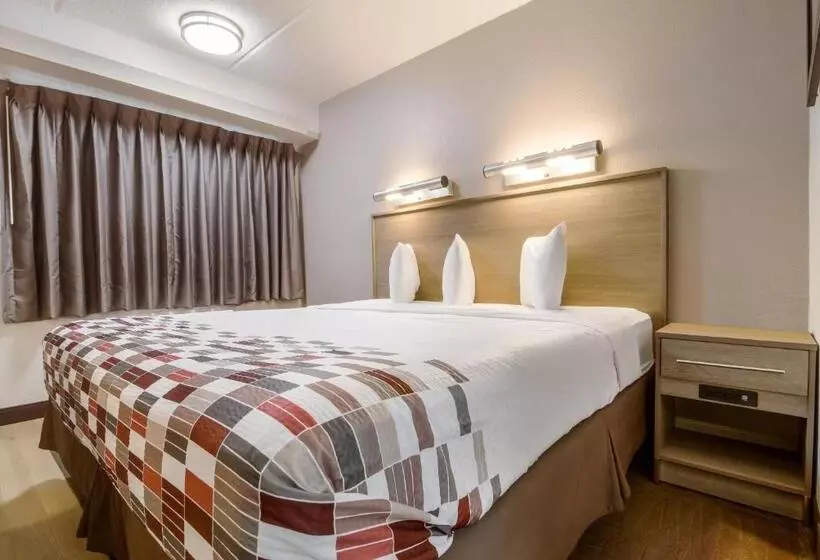 身障者適用スーペリアールーム, Red Roof Inn Detroit  Farmington Hills