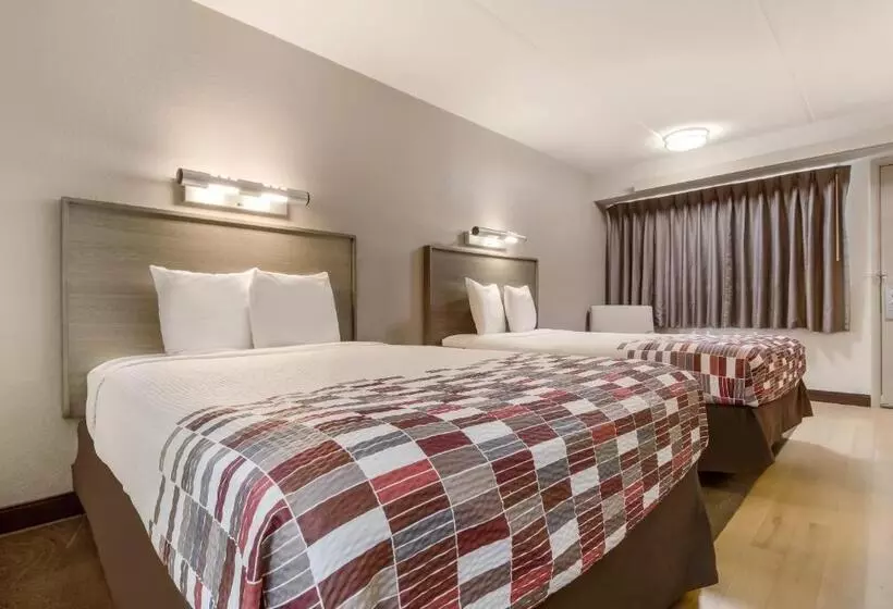 デラックスルーム, Red Roof Inn Detroit  Farmington Hills