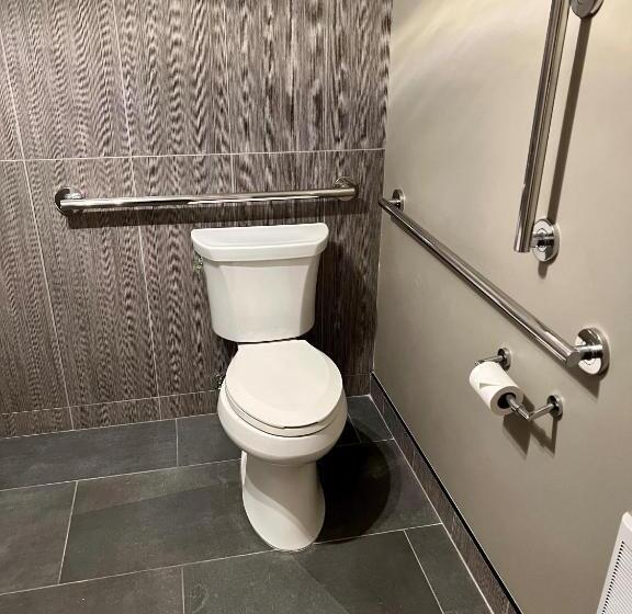 غرفة قياسية سرير كينج لذوى الإحتياجات الخاصة, Gravity Haus Jackson Hole