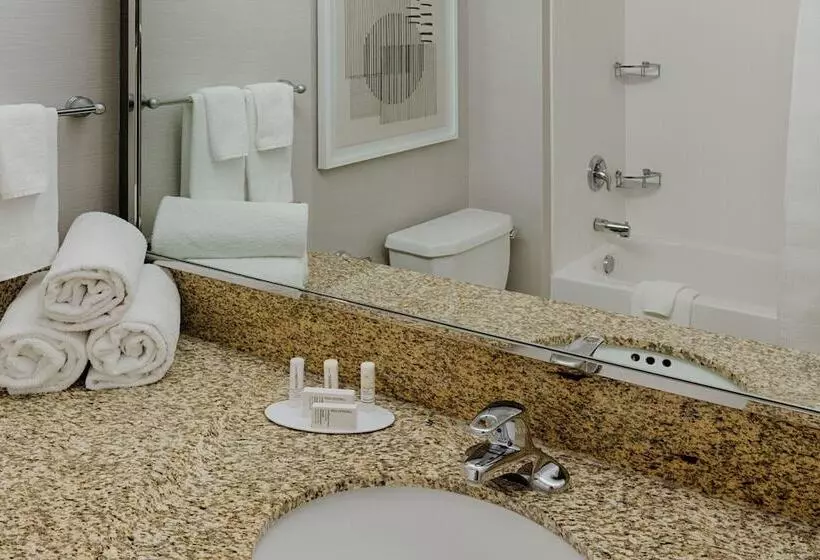 ２ダブルベッドのスタンダードルーム, Courtyard By Marriott Springfield Downtown