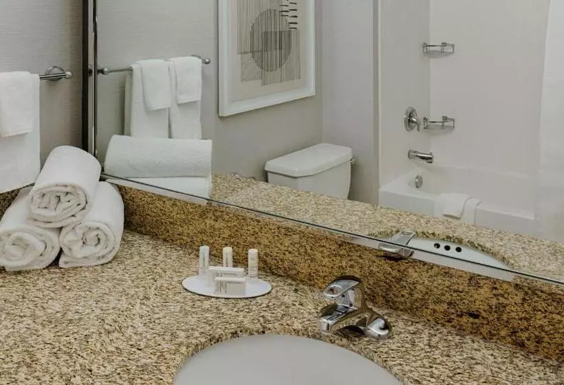 キングサイズベッドのスタンダードルーム, Courtyard By Marriott Springfield Downtown