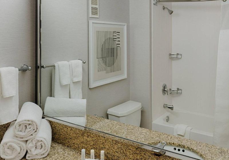Стандартный Номер Кровать Кинг, Courtyard By Marriott Springfield Downtown