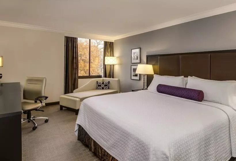 スタンダードルーム, Crowne Plaza Suffern Mahwah, An Ihg