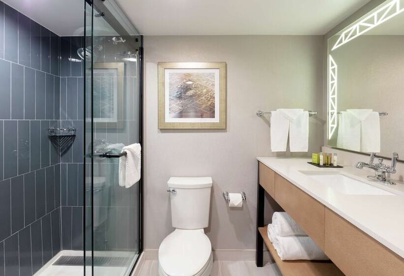 带2个双人床的标准工作室, Doubletree By Hilton Birmingham Perimeter Park