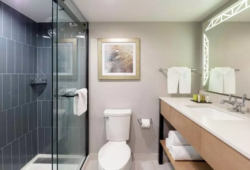 Standard-huone 2 Parivuodetta, Doubletree By Hilton Birmingham Perimeter Park