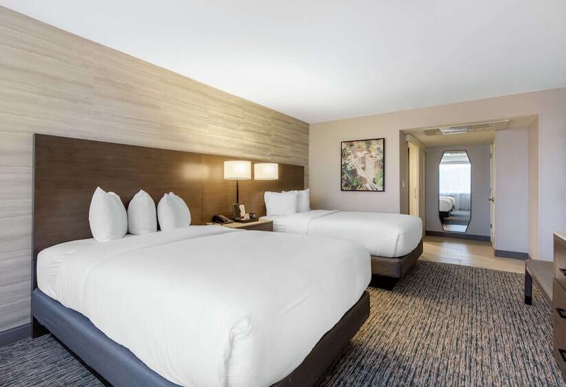带2个双人床的标准工作室, Doubletree By Hilton Birmingham Perimeter Park