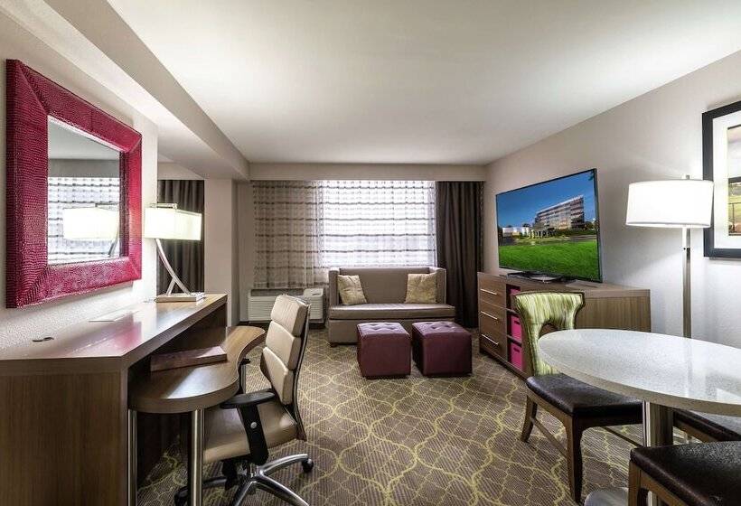 주니어 스위트, Doubletree By Hilton Winston Salem University