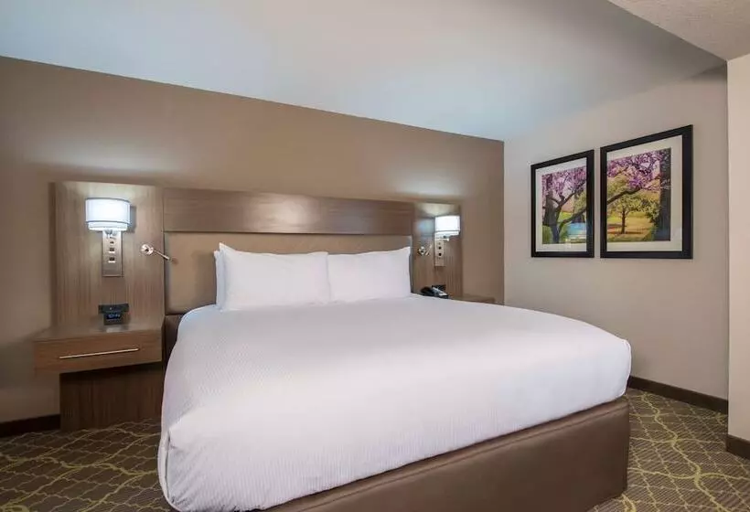 ジュニアスイート, Doubletree By Hilton Winston Salem University