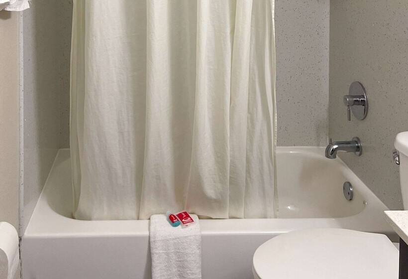 غرفه قياسيه سريرين مزدوجين, Econo Lodge Cartersvilleemerson Lake Point