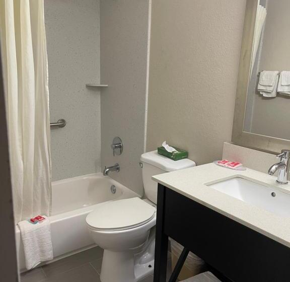 غرفة قياسية سرير كينج, Econo Lodge Cartersvilleemerson Lake Point