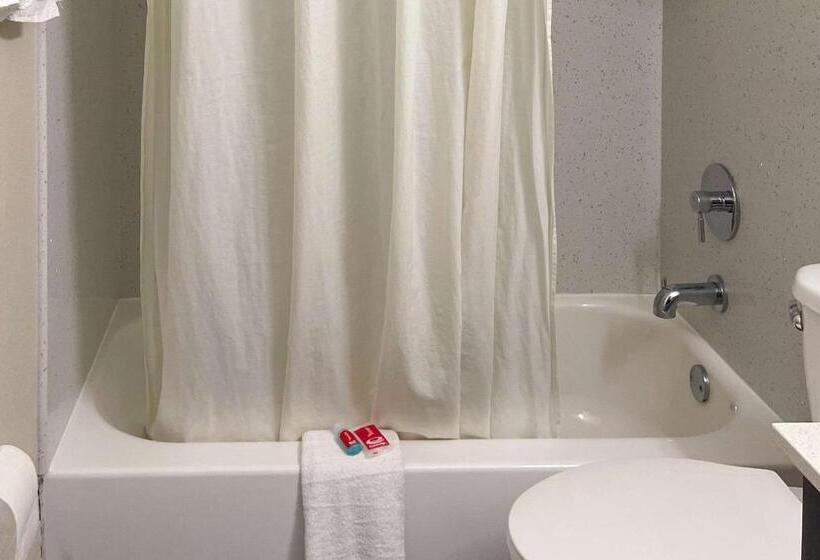 غرفه قياسيه سريرين مزدوجين, Econo Lodge Cartersvilleemerson Lake Point