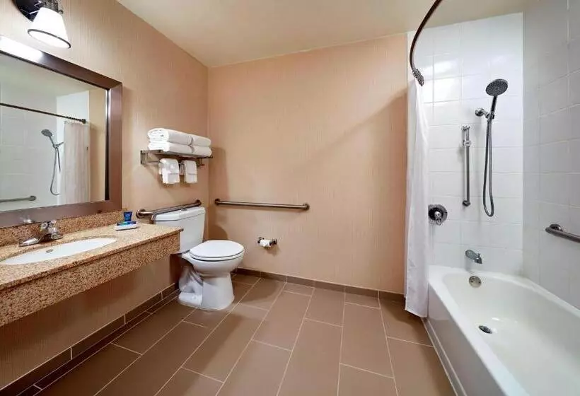 اتاق استاندارد با تخت بزرگ, Four Points By Sheraton Pleasanton