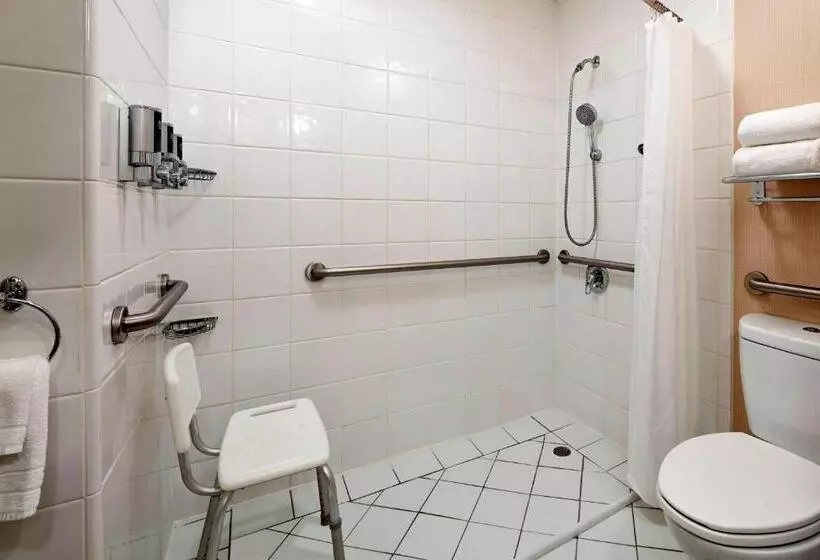 اتاق لوکس با تخت بزرگ, Four Points By Sheraton Pleasanton