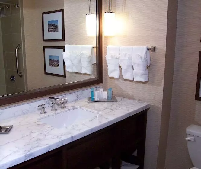 سوییت لوکس, Hilton St. Louis Airport