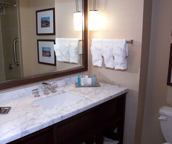 스탠다드 룸 더블 침대 2개, Hilton St. Louis Airport