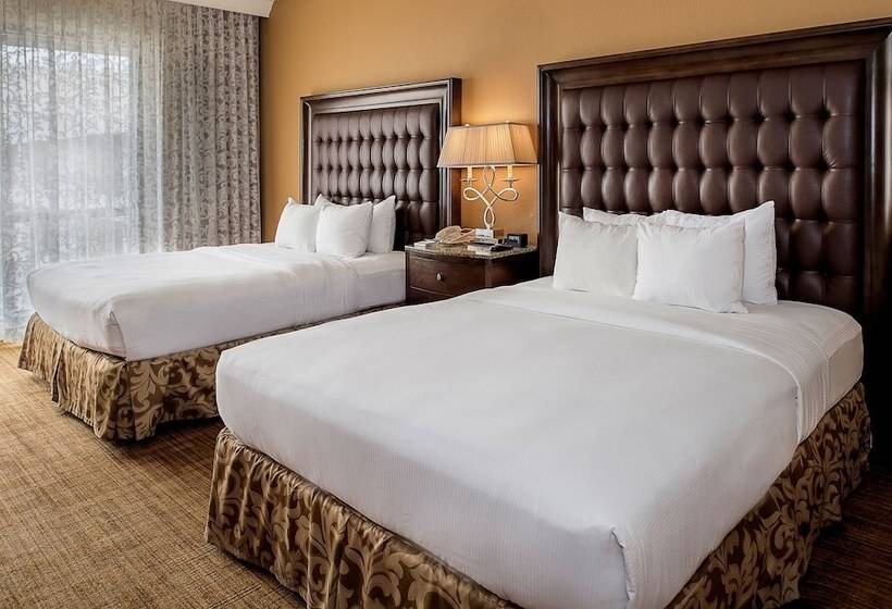 2ダブルベッドのスタンダードルーム, Hilton St. Louis Airport