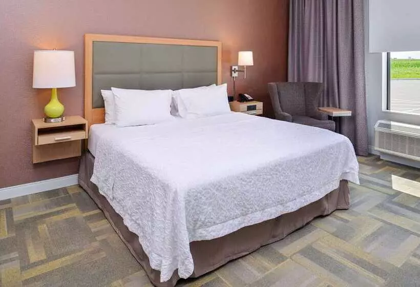 اتاق استاندارد, Hilton St. Louis Airport
