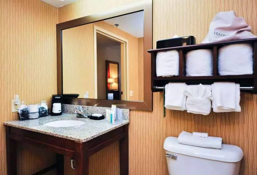 اتاق استاندارد, Hilton St. Louis Airport