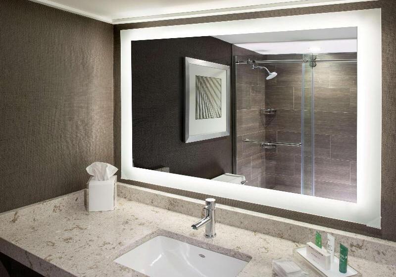 חדר דלוקס, Hilton Tampa Airport Westshore