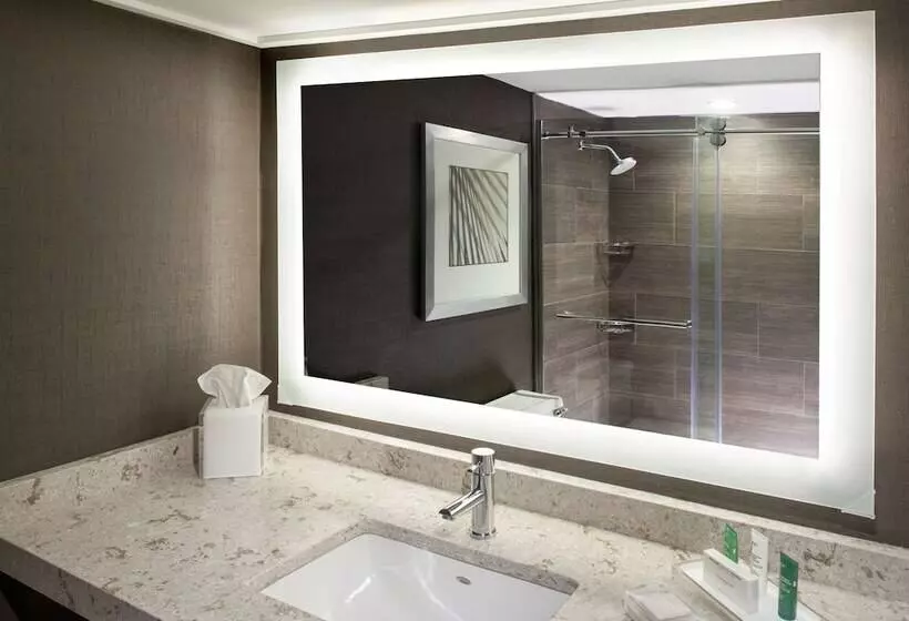 ２ダブルベッドのスタンダードルーム, Hilton Tampa Airport Westshore