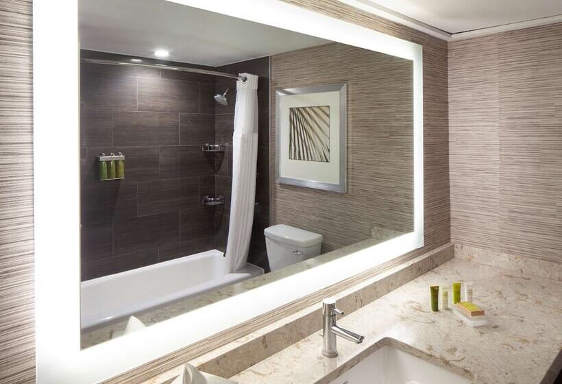 غرفه قياسيه سريرين مزدوجين, Hilton Tampa Airport Westshore