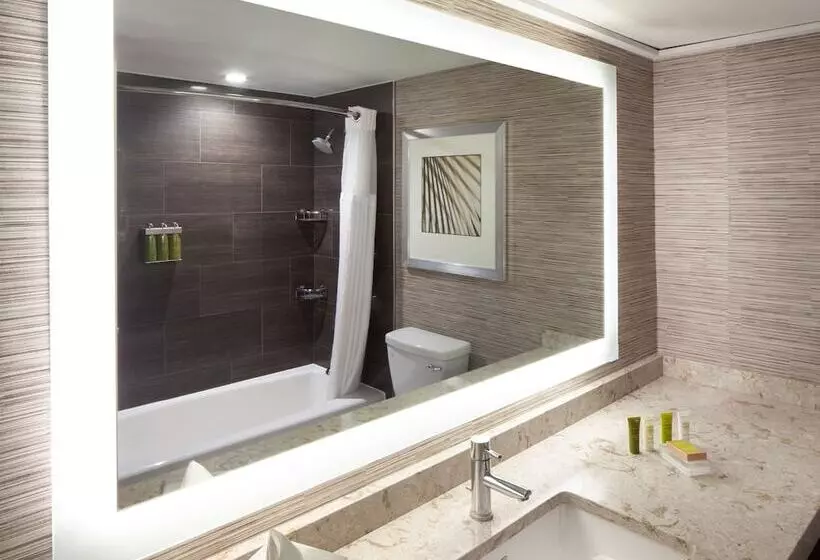 ２ダブルベッドのスタンダードルーム, Hilton Tampa Airport Westshore