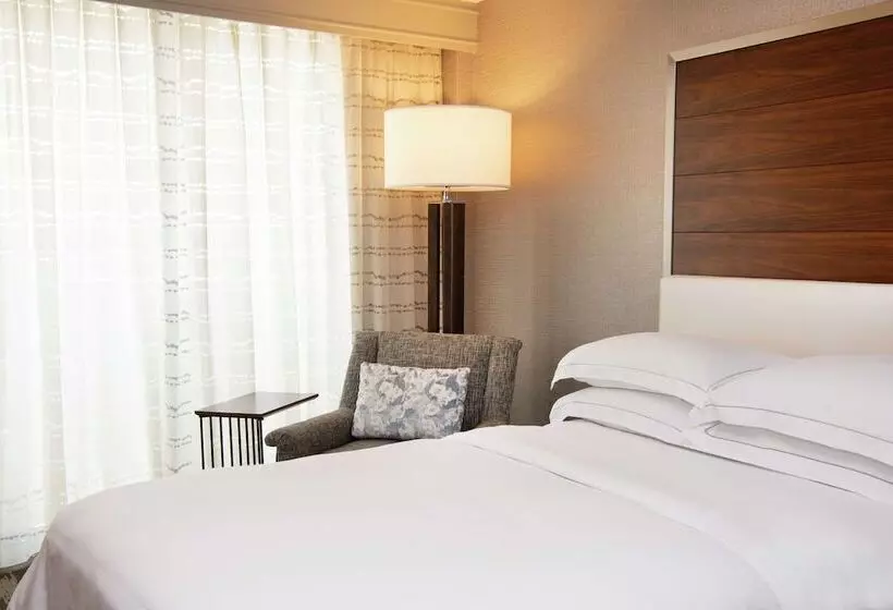 ２ダブルベッドのスタンダードルーム, Hilton Tampa Airport Westshore