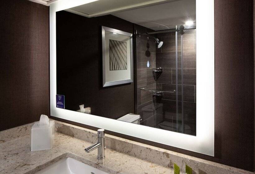 חדר דלוקס, Hilton Tampa Airport Westshore