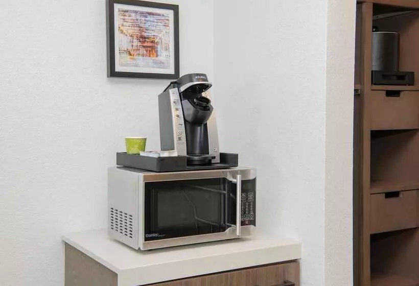 キングサイズベッドのスタンダードルーム, Hilton Tampa Airport Westshore