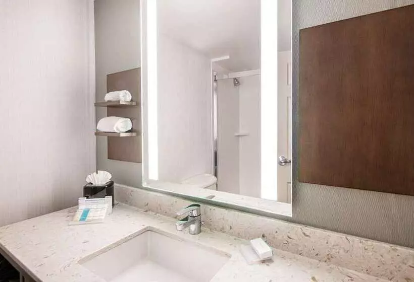 キングサイズベッドのスタンダードルーム, Hilton Tampa Airport Westshore