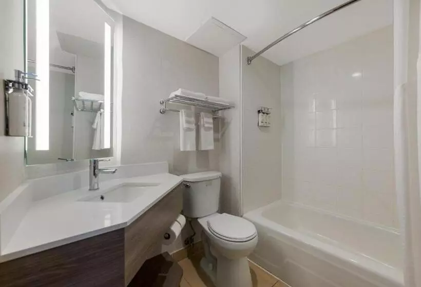 ２ダブルベッドのスタンダードルーム, Holiday Inn Express Hotels  Hampton, An Ihg