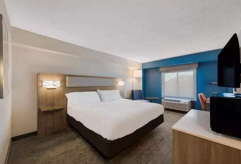 キングサイズベッドのスタンダードルーム, Holiday Inn Express Hotels  Hampton, An Ihg