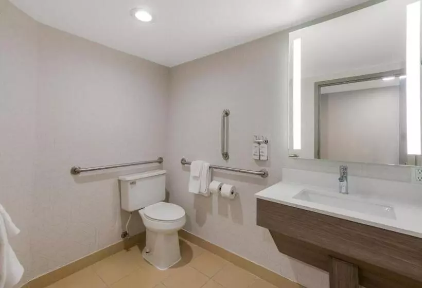 キングサイズベッドのスタンダードルーム, Holiday Inn Express Hotels  Hampton, An Ihg