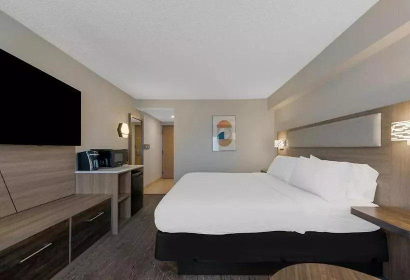 キングサイズベッドのスタンダードルーム, Holiday Inn Express Hotels  Hampton, An Ihg