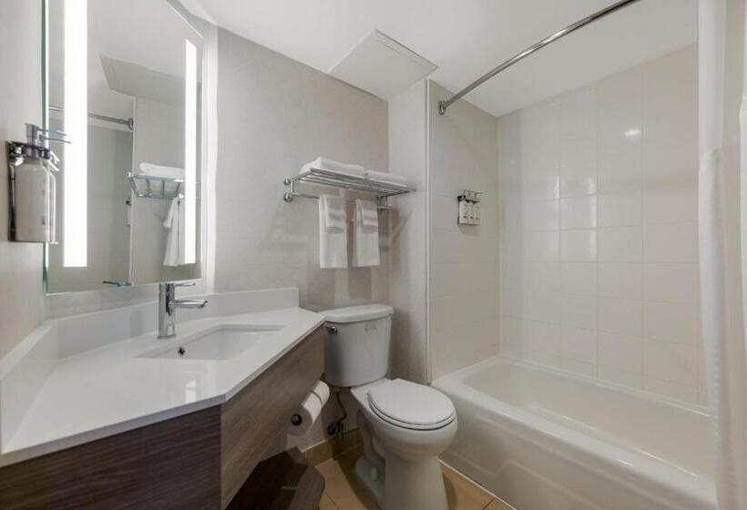 스탠다드 룸 킹사이즈 침대, Holiday Inn Express Hotels  Hampton, An Ihg