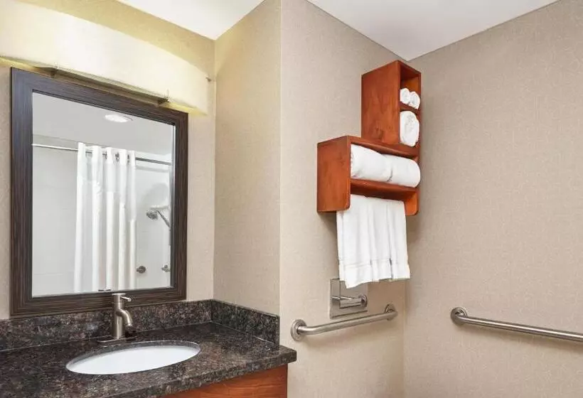 身障者適用キングサイズベッドルーム, Holiday Inn Express Hotels  Hampton, An Ihg